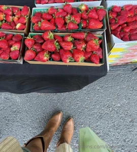 I am so happy fall is here what s your fav season part 1