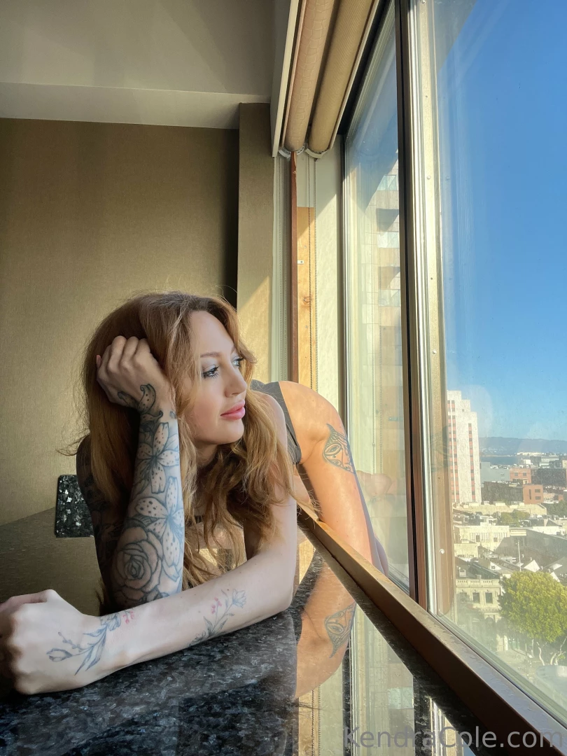 Little kitty in the window looks at you like part 2 