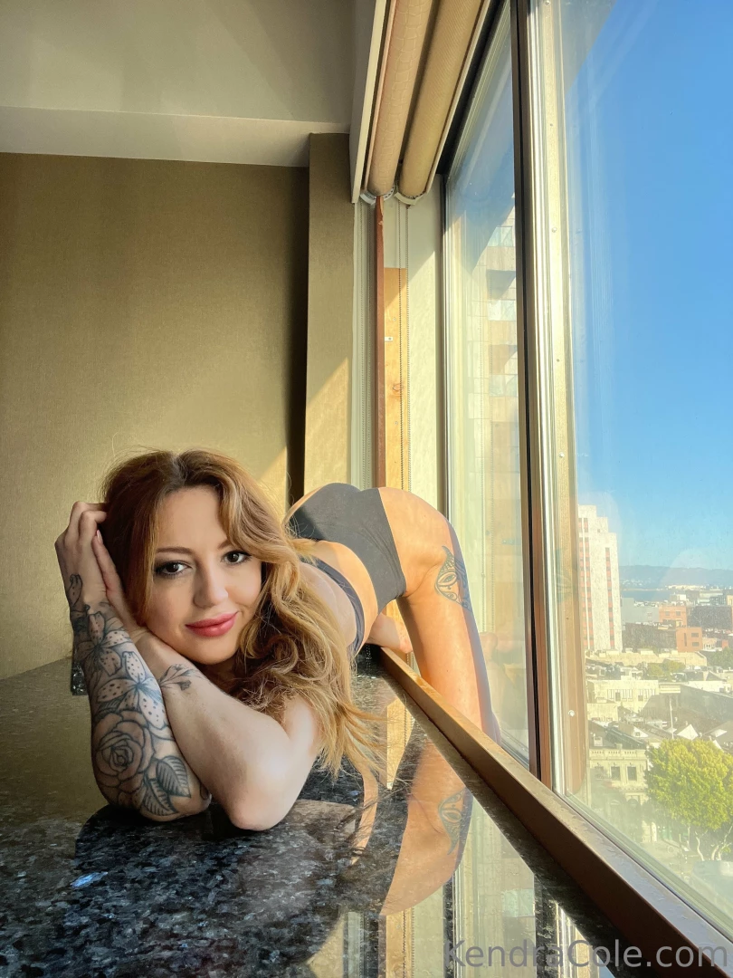 Little kitty in the window looks at you like 