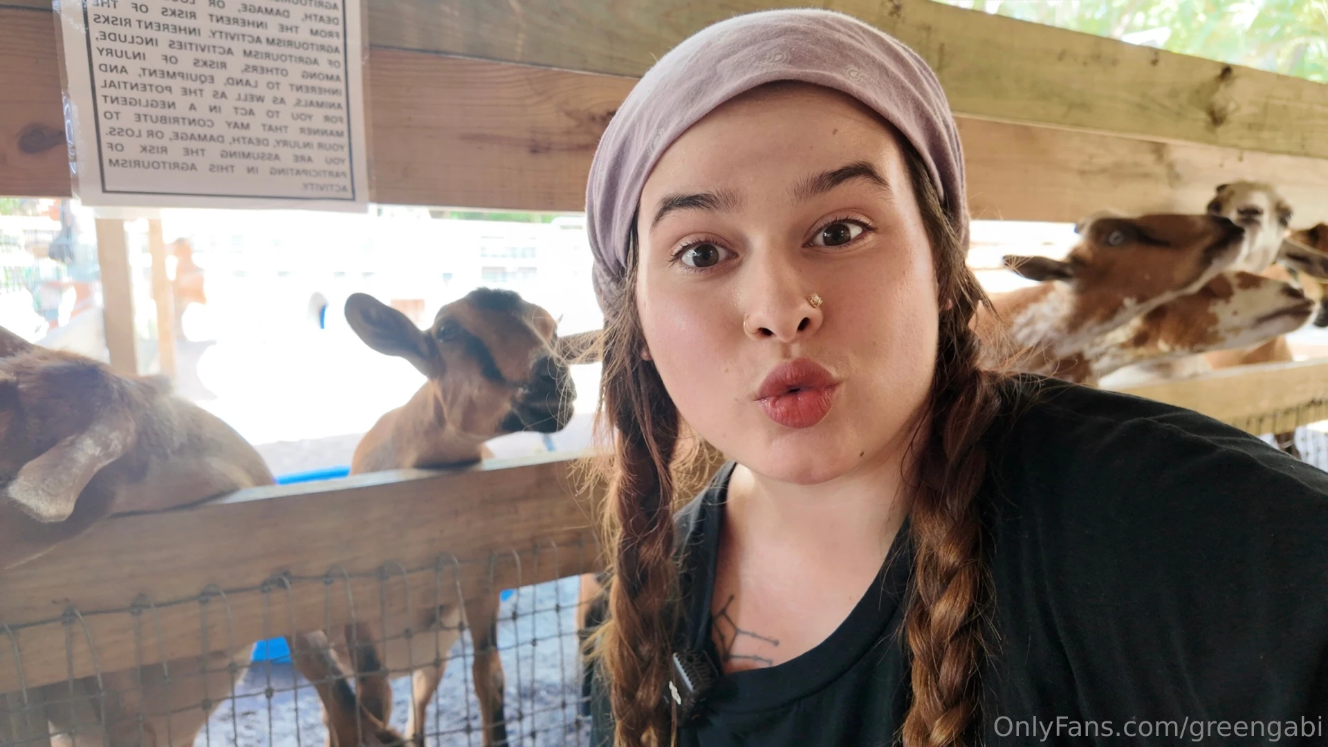 Made some friends today 