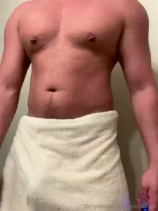 Towel hanger