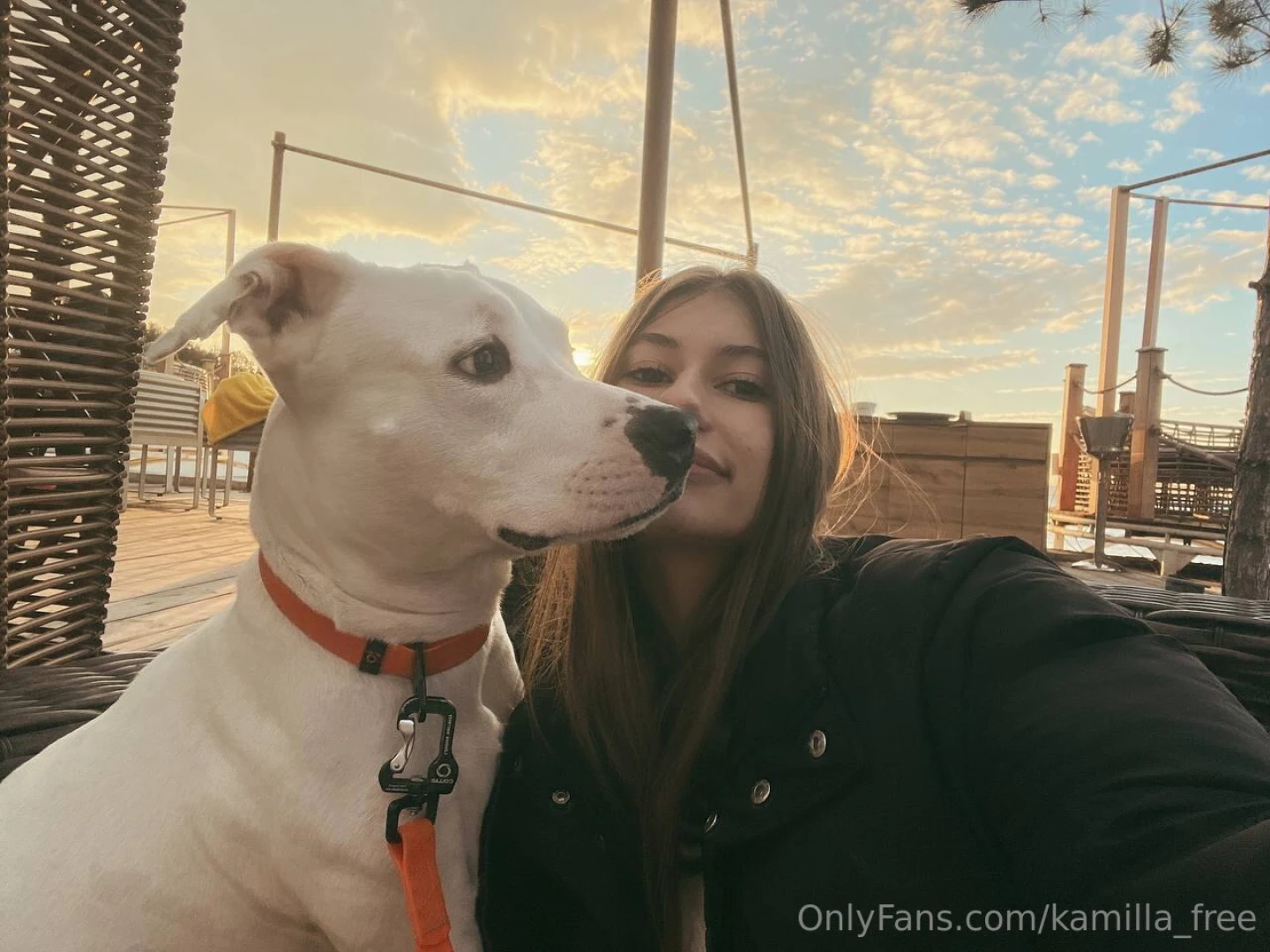 It is believed that animals subconsciously feel all our emotions and 