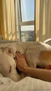 Happy easter i wish you to spend it with your family in love peace and