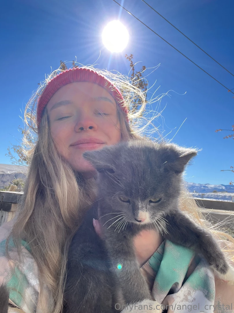 I couldn t pass by the poor kitty again and found him a new home in 2 