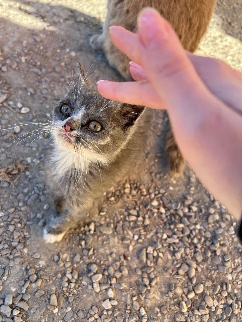 Stroked her for two hours and almost took her home 