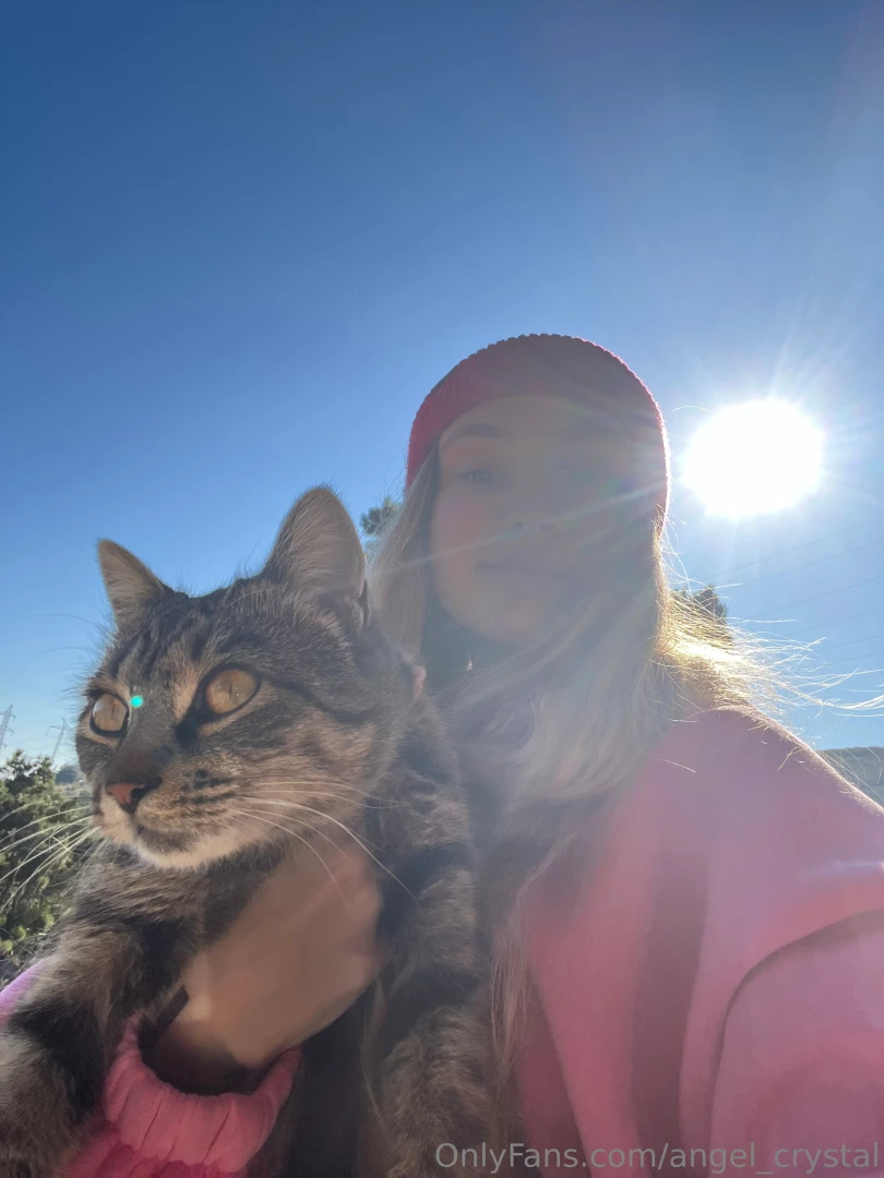 The one hundred and fifty-fifth cat i ve petted this day 