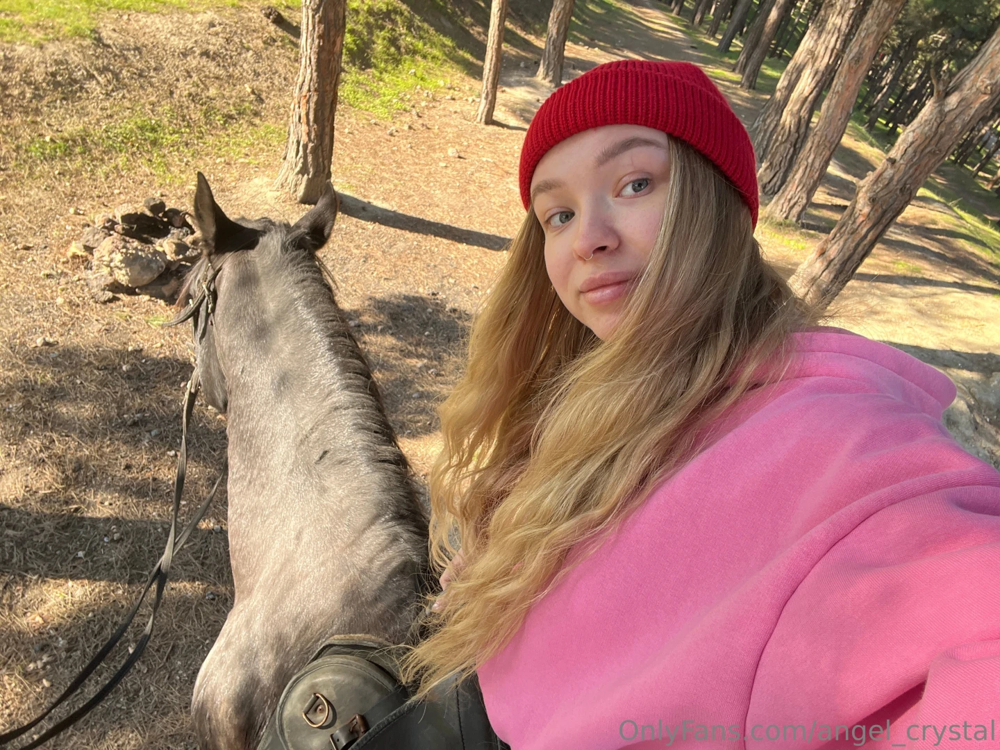 Interesting fact 1631 - i ve been horseback riding since i was a kid part 1 