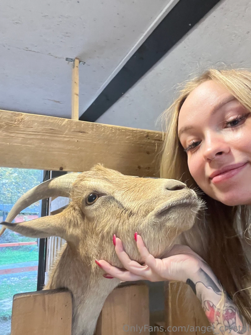 I was always afraid of goats because i thought they would get me but 