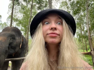 Awwwww have you ever seen a real elephant he s so big and cute but i