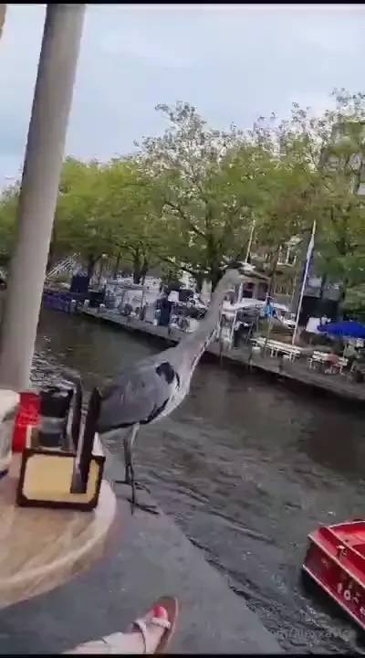 I believe these are all the bts clips i have from xbiz finally sorry part 20 