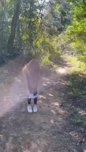 The time has come i m officially opening customs again i know a lot of