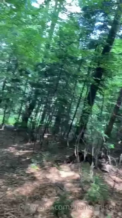 Real sex in the forest blowjob hard sex in doggy style and cum on my 