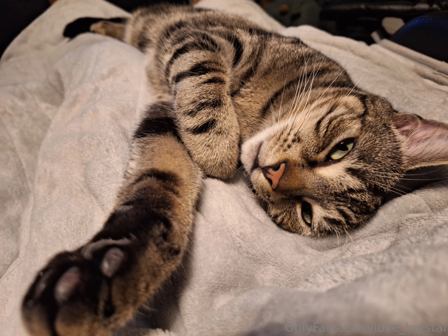 What are you lounging around for my vip special won t last forever 