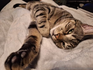 What are you lounging around for my vip special won t last forever