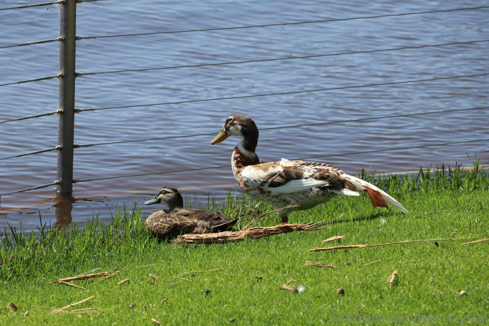 My internet provider is still doing stuff and screwing up my 