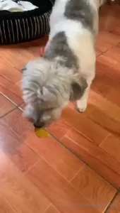 Videos nudes hot surprises value bundle for only today only part 3