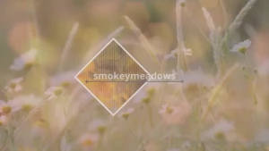 If your a fan of a wet sounding pussy this is the video hear every