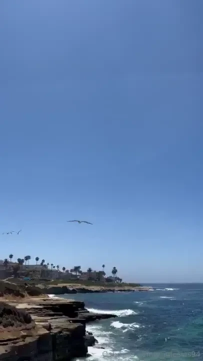 Visitando cositas de san diego california la jolla sea wall un buena part 6 