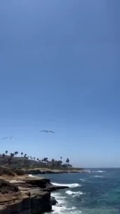 Visitando cositas de san diego california la jolla sea wall un buena part 6