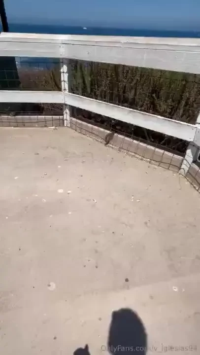 Visitando cositas de san diego california la jolla sea wall un buena part 7 