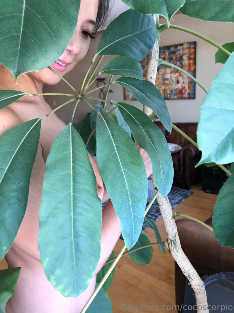 It s a nice day to play what do you say cocoscorpiovip 