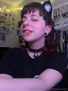 Who s ready for so many cute pet play sets part 1