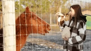 I ve always loved animals and am more than happy to support charities