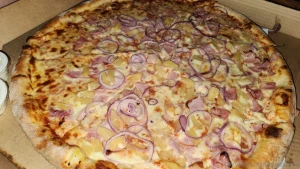 A friendly feeder sponsored some really yummy pizza then my roomie part 1