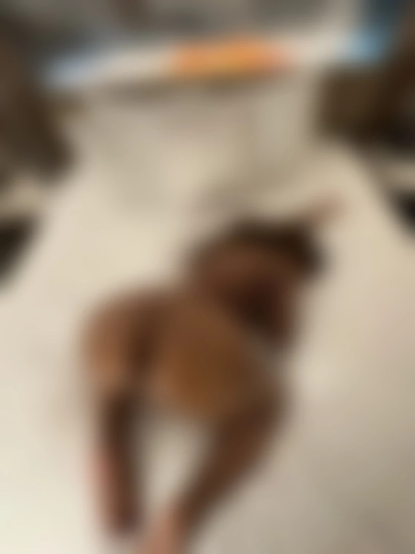 Fuck me like a slut part 8 
