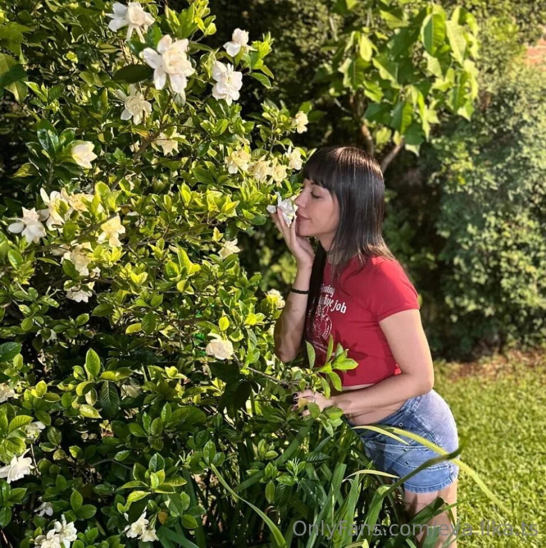 Find the main flower in the flowers 