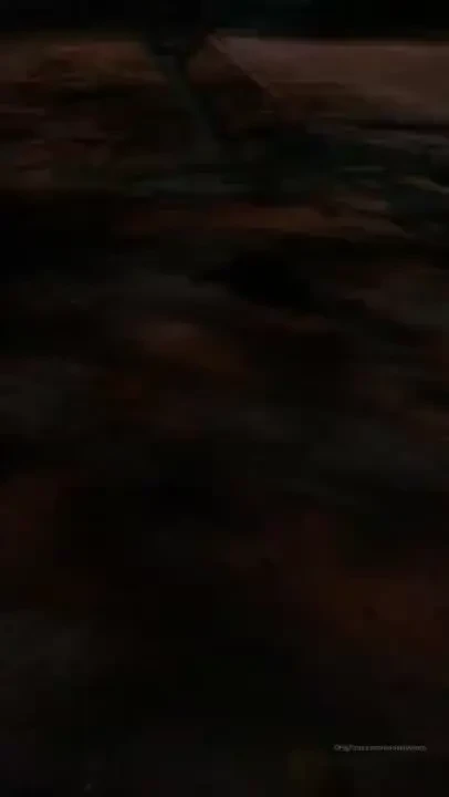 Food for me and food for my new friends wish you a beautiful night my part 2 