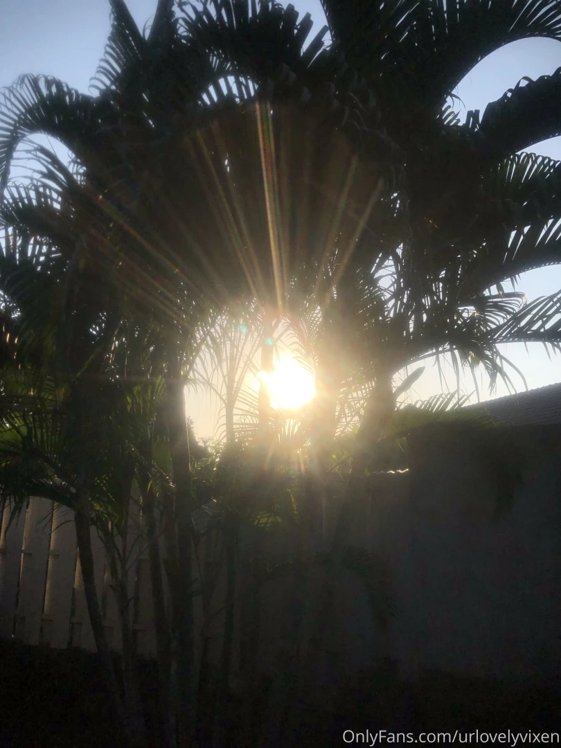 Morning kittens morning yoga btw tomorrow yoga class for you ha livers 