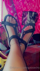 Gaiasecho part 65983