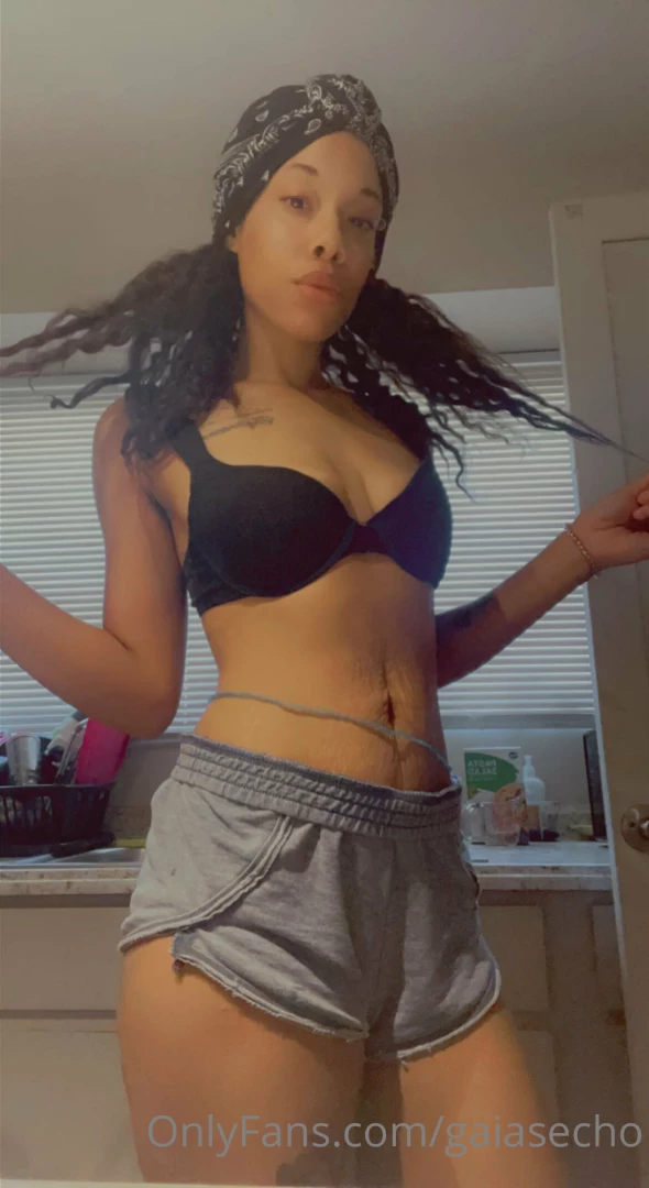 Gaiasecho part 66010 