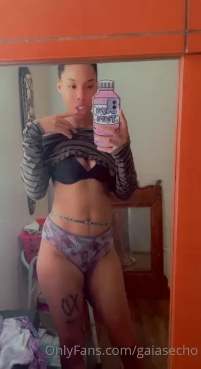 Gaiasecho part 66149 