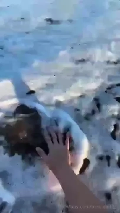 I give you my love from a warm place darling are you waiting for my 