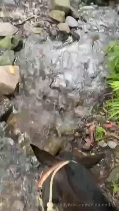 It was one of the most magical walks through the woods of my life have 