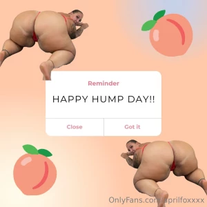 Happy hump day bundle - tip 10 now part 1