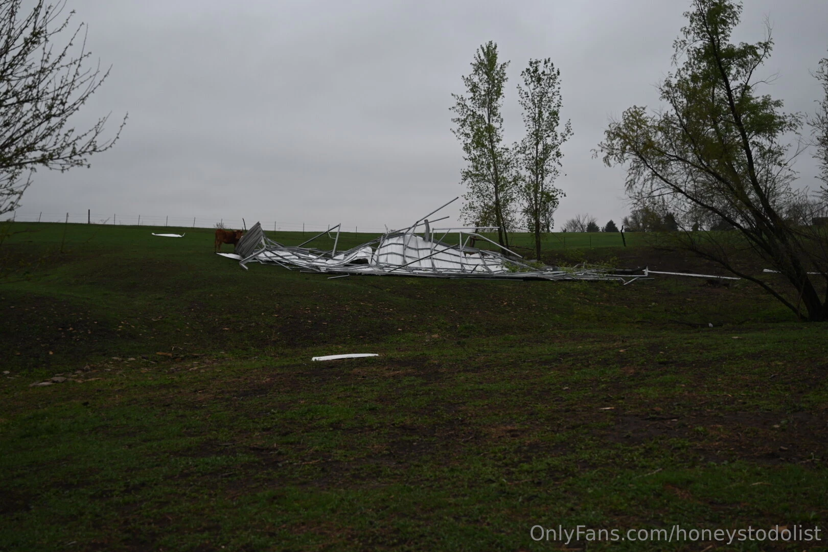 Work so hard to buy property and try to live your dream just to have part 1 