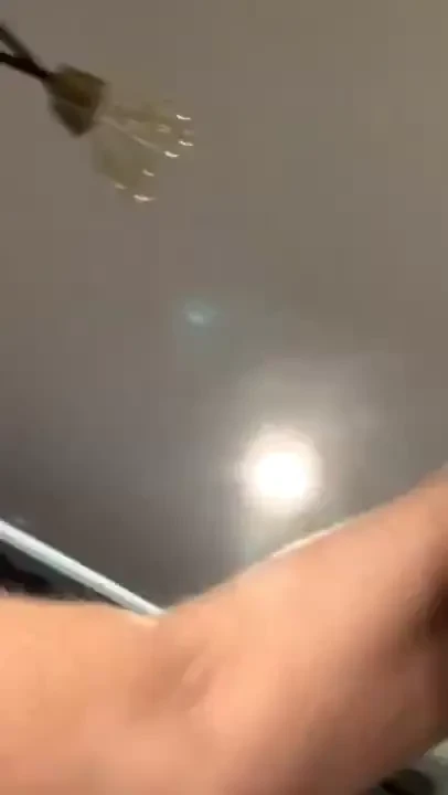 Stream started at 11 04 2024 03 59 pm 