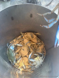 As many of you know i love to cook tonight i m steaming maryland blue part 1