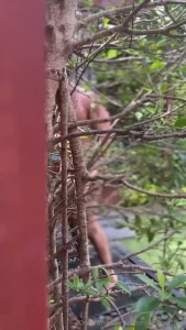 Got caught all horny by voyuer was bit scared but helping hand is
