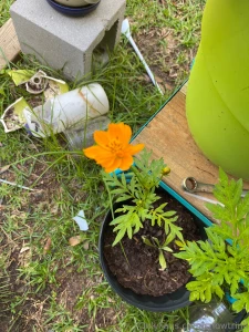 Ahahahahaa building a tiny house hard let s hope everything goes part 1