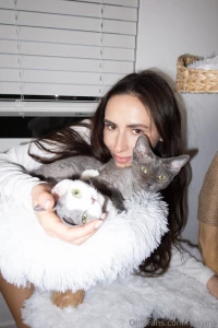 Cuteness overload three kitties at the same time part 2