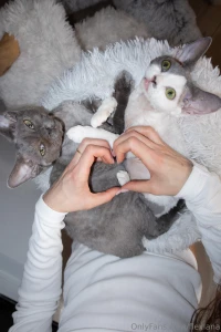 Cuteness overload three kitties at the same time part 1