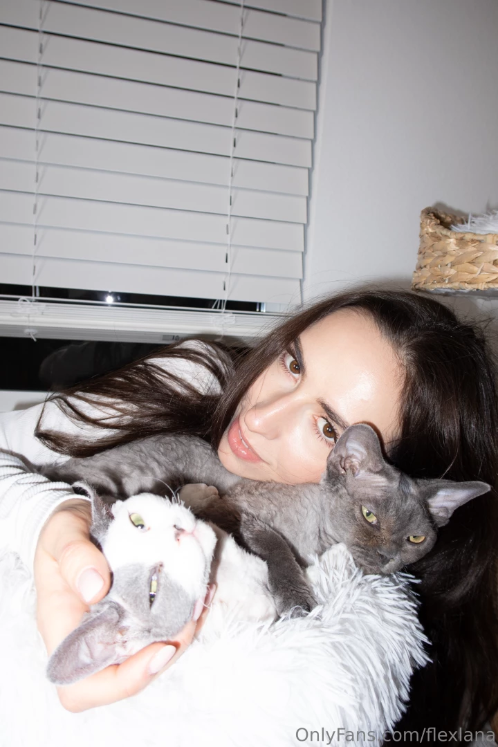 Cuteness overload three kitties at the same time 