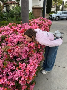 If i were a flower which one would i be part 1