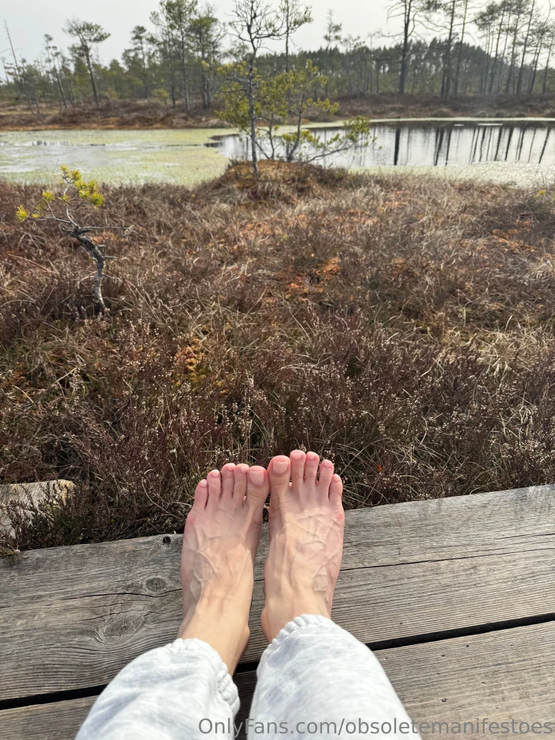 A little hiking trip today 