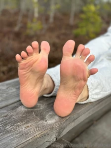 A little hiking trip today part 2