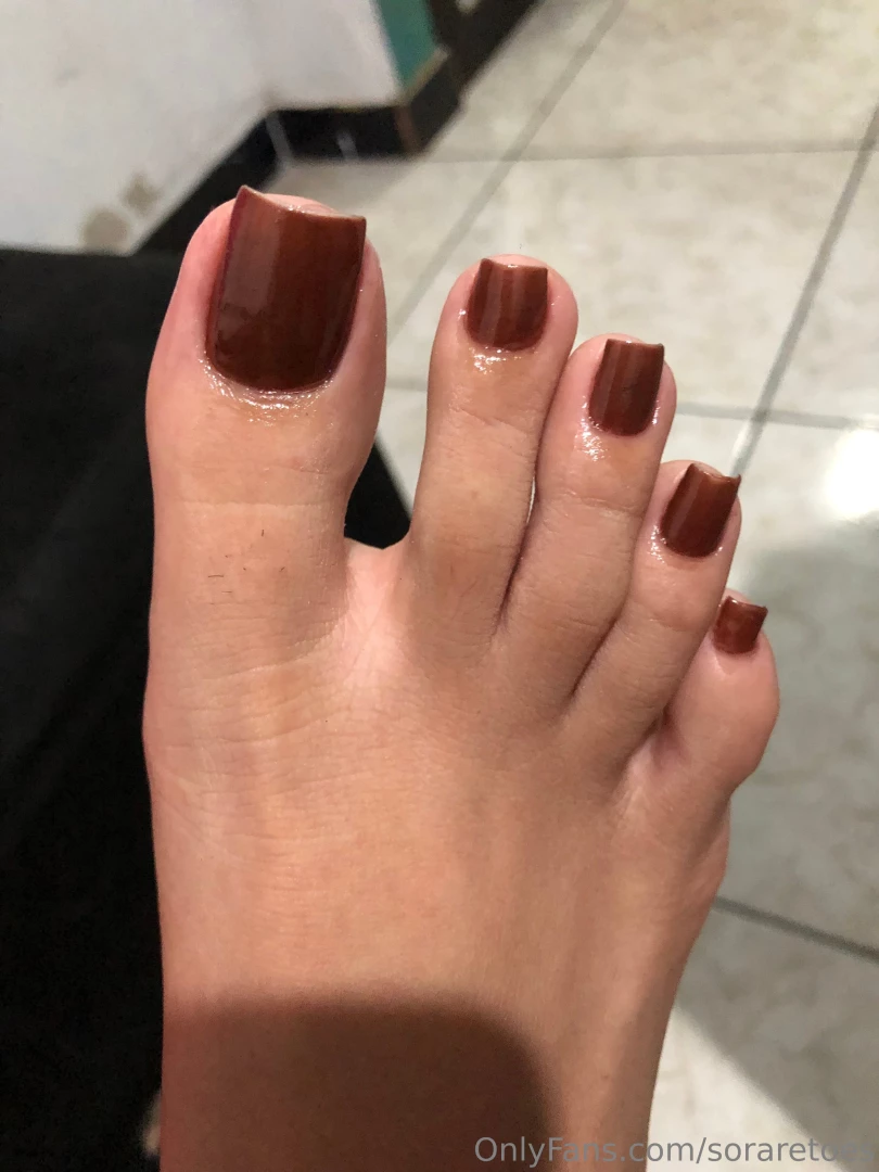 Soraretoes part 5 